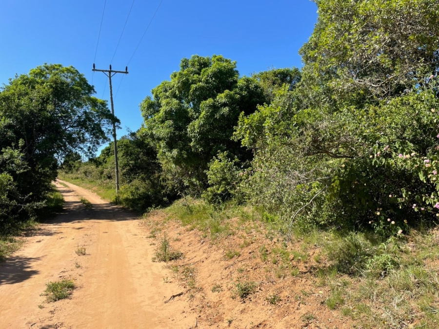 0 Bedroom Property for Sale in Bathurst Eastern Cape